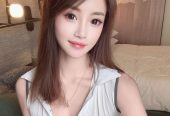 DU LEI Chinese